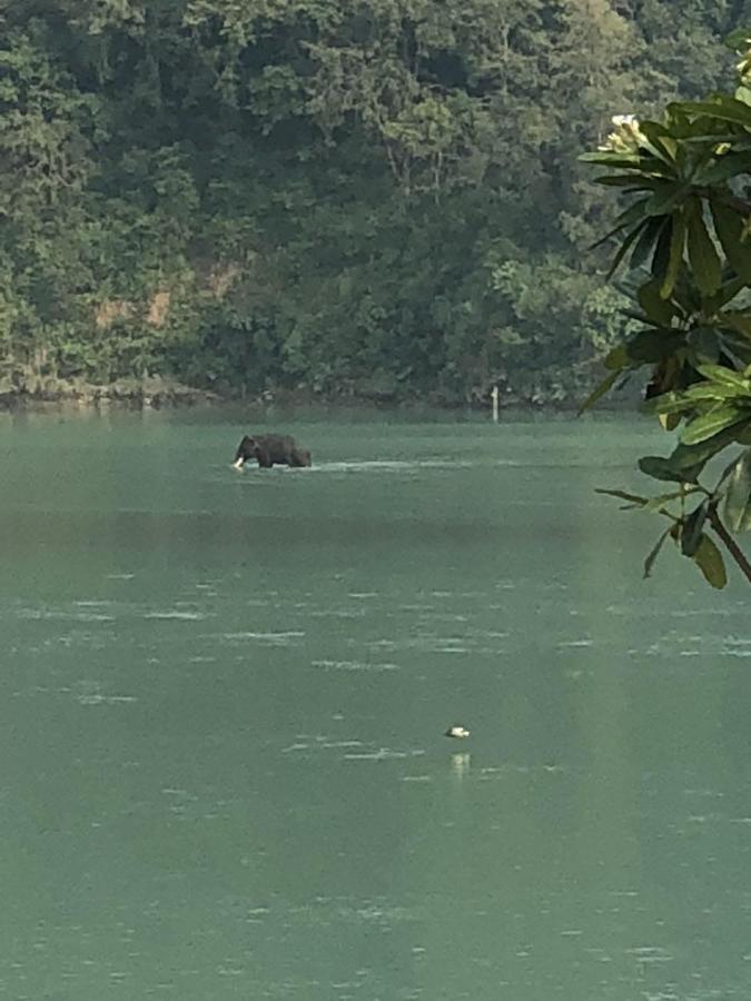 Ganga Forest View Rishīkesh Extérieur photo